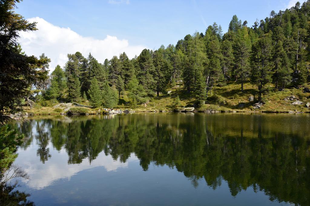 Haus Ofner Am Kreischberg Bed & Breakfast Sankt Georgen ob Murau Dış mekan fotoğraf