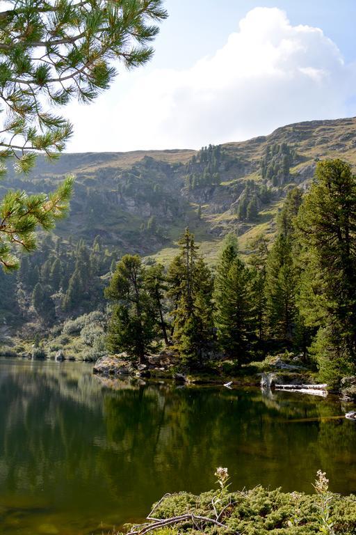 Haus Ofner Am Kreischberg Bed & Breakfast Sankt Georgen ob Murau Dış mekan fotoğraf