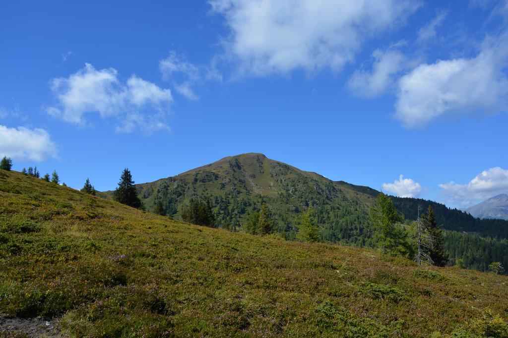 Haus Ofner Am Kreischberg Bed & Breakfast Sankt Georgen ob Murau Dış mekan fotoğraf